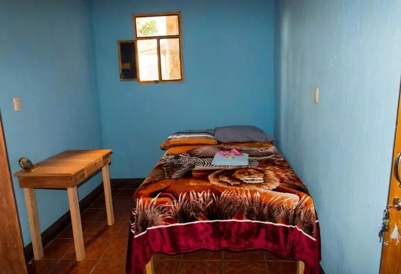 هاستل Posada Mana