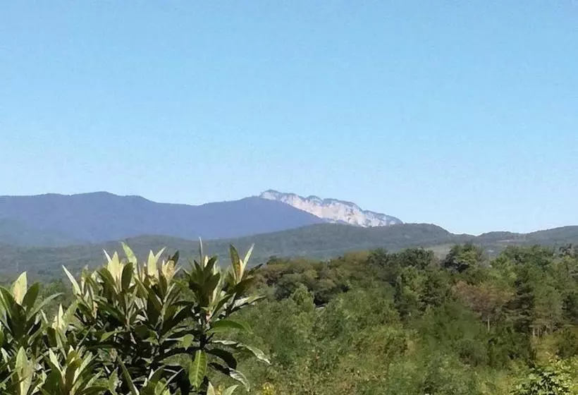 پانسیون Lakeside Green Balcony Home