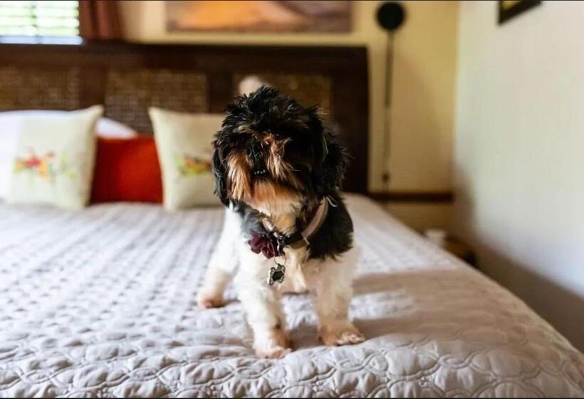 민박 Old Brick Inn