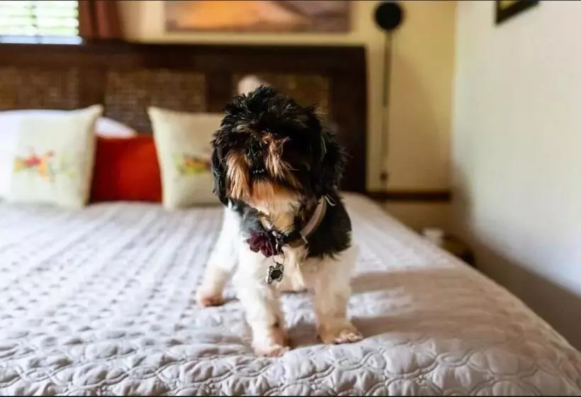 ベッドアンドブレックファースト Old Brick Inn