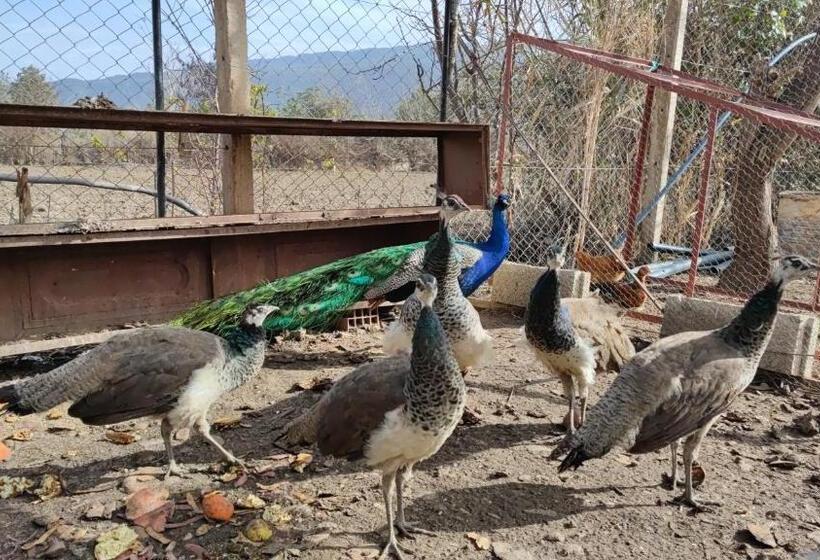 호텔 La Perle D'ifrane