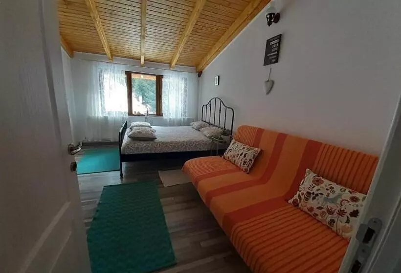 Pensiune Casa Maia Dambovicioara