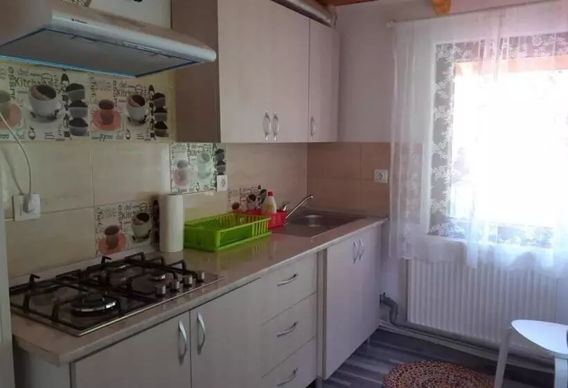 Pensiune Casa Maia Dambovicioara