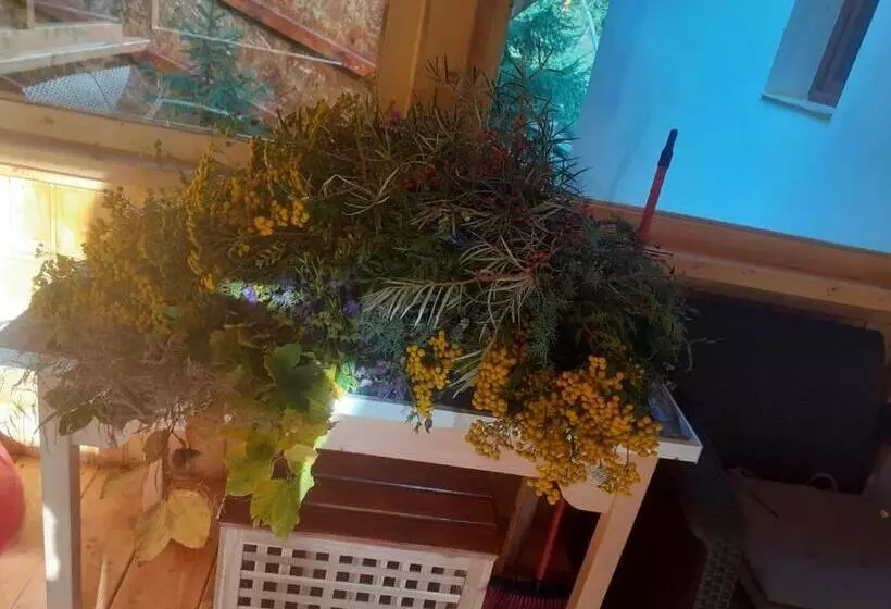 Pensiune Casa Maia Dambovicioara