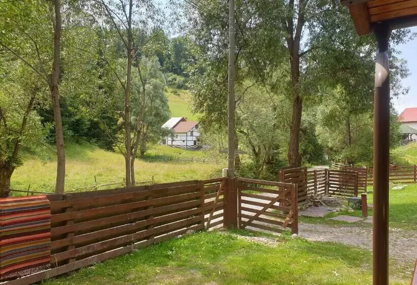 Pensiune Casa Maia Dambovicioara