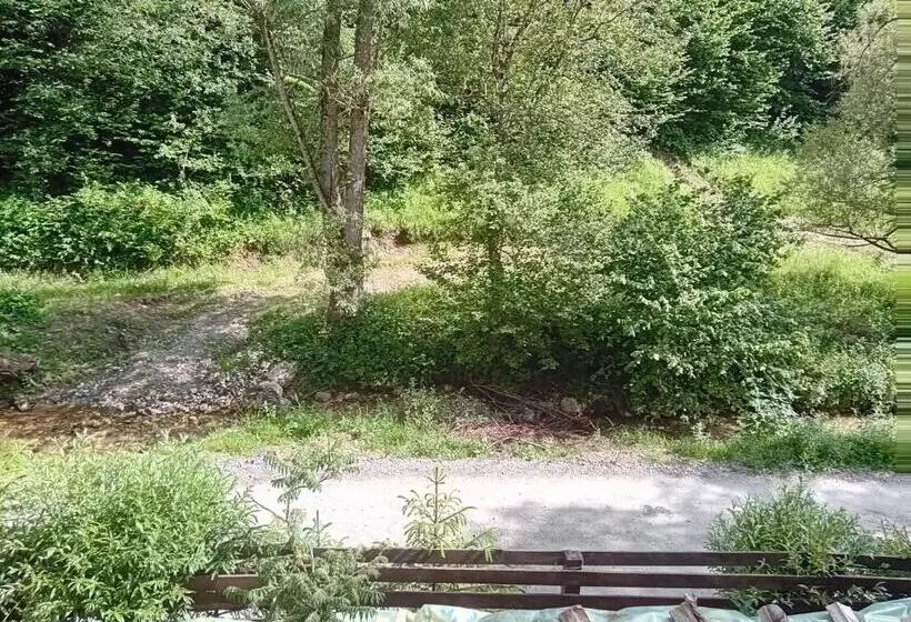 Pensiune Casa Maia Dambovicioara