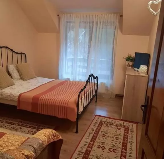 Pensiune Casa Maia Dambovicioara