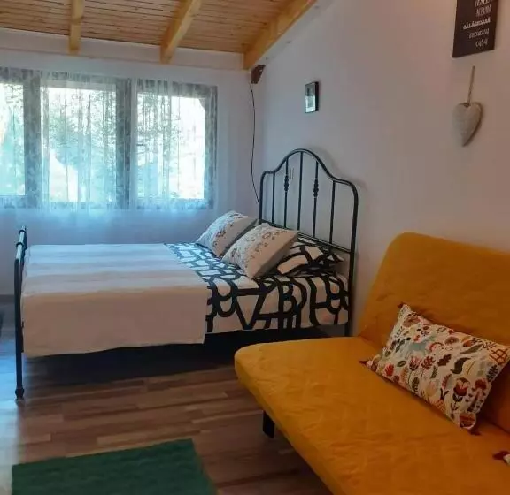 Pensiune Casa Maia Dambovicioara