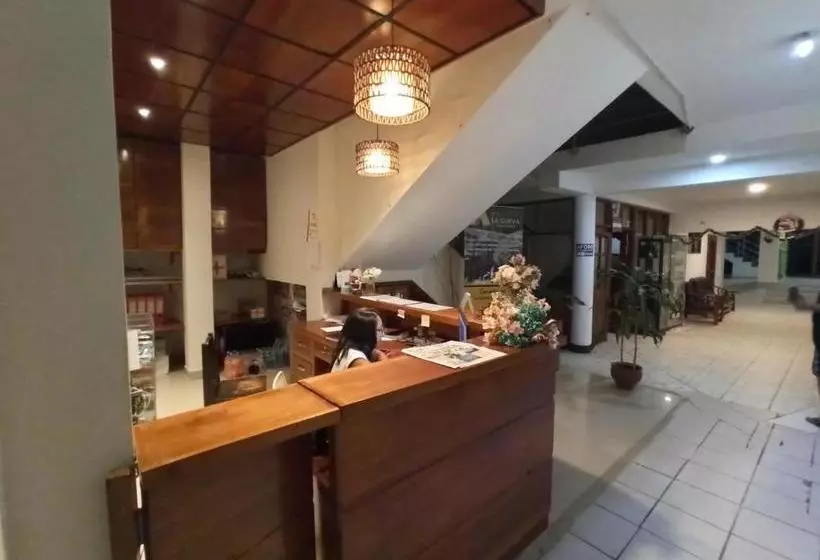ユースホステル Hostal La Cueva Moyobamba