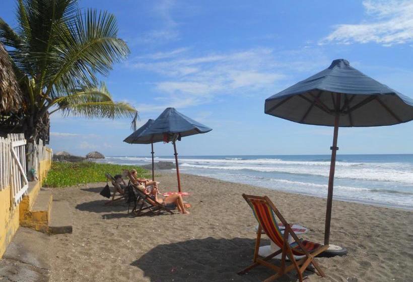 פנסיון Beach Hostal Oasis