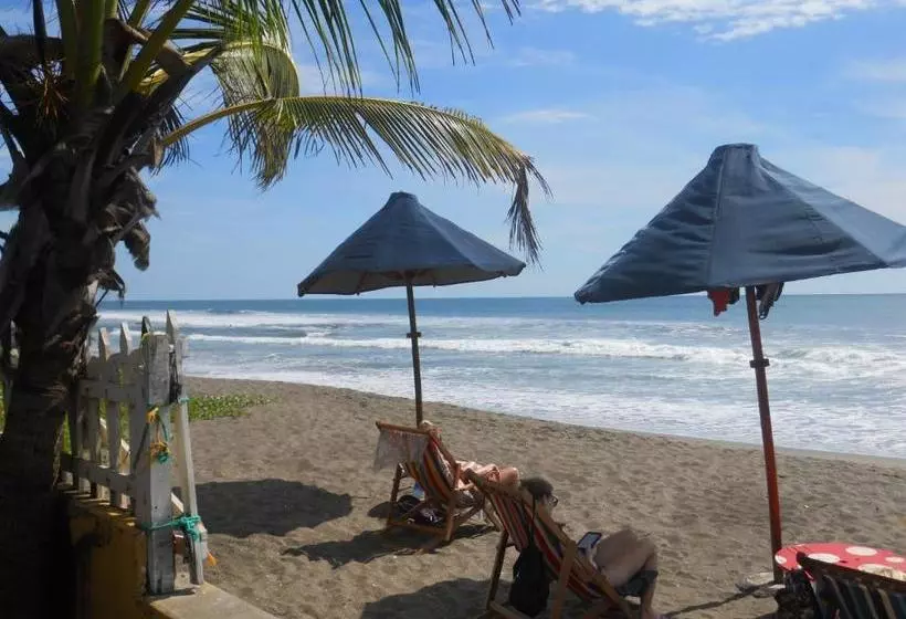 Majatalo Beach Hostal Oasis