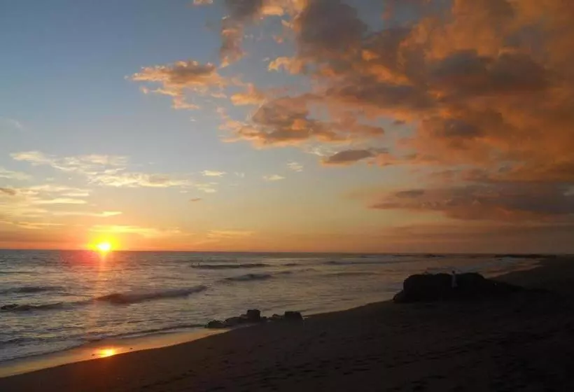 Majatalo Beach Hostal Oasis