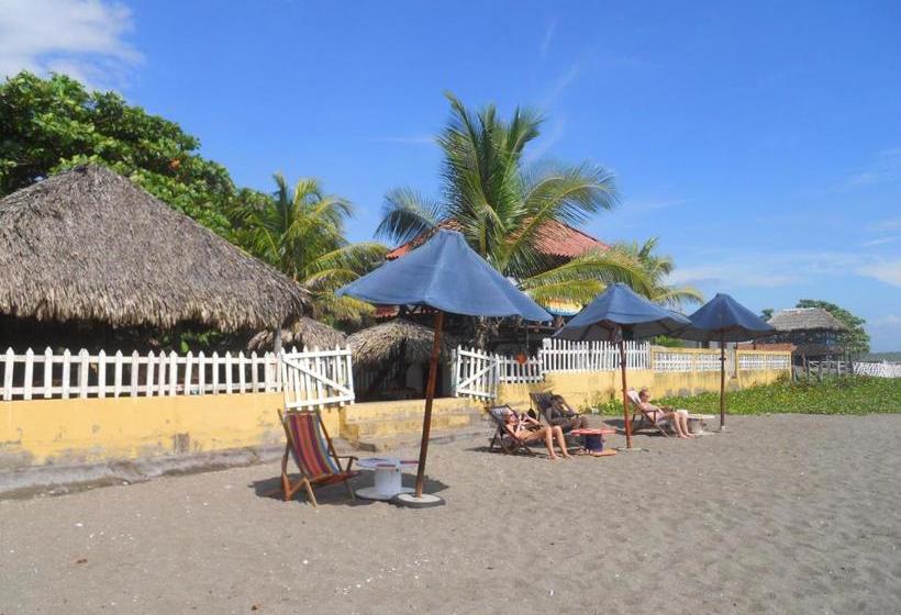 פנסיון Beach Hostal Oasis