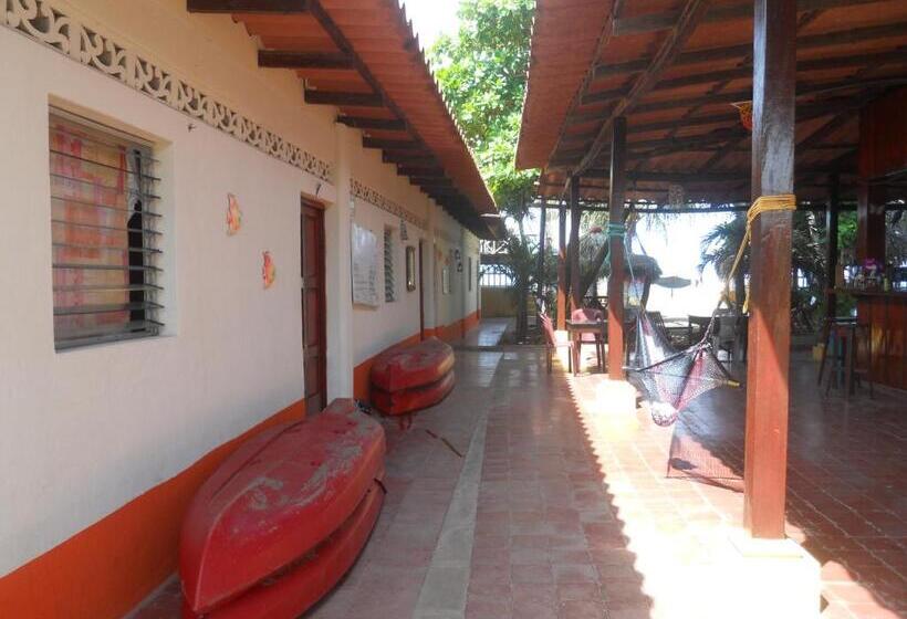 פנסיון Beach Hostal Oasis