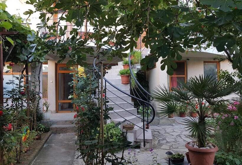 بنسيون Guest House Veselina