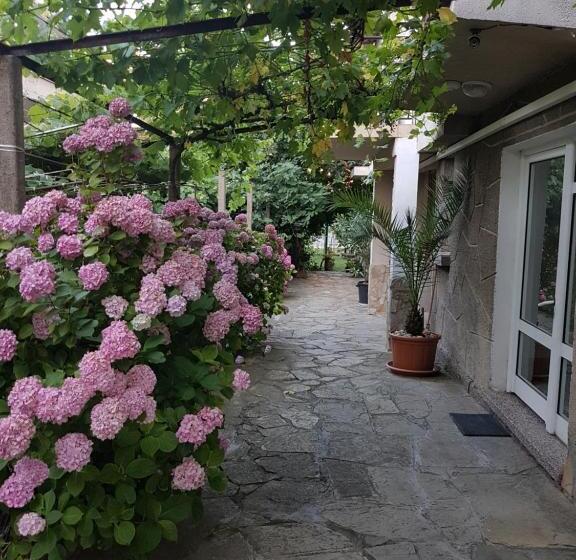 بنسيون Guest House Veselina