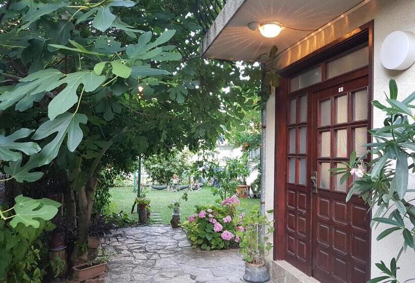 بنسيون Guest House Veselina