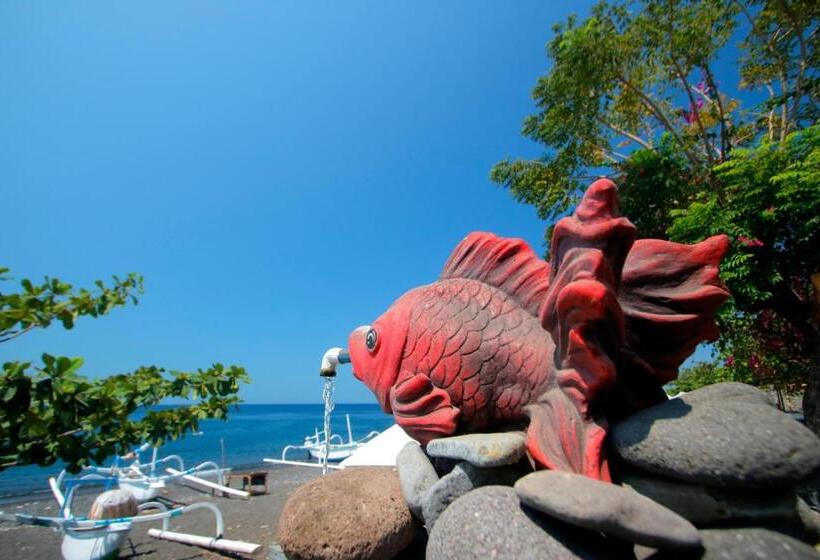 ペンション Valomia Beachfront