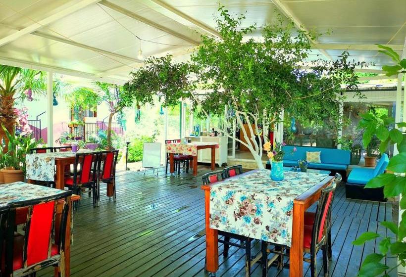 پانسیون Cemils Guest House