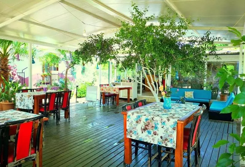 Majatalo Cemils Guest House