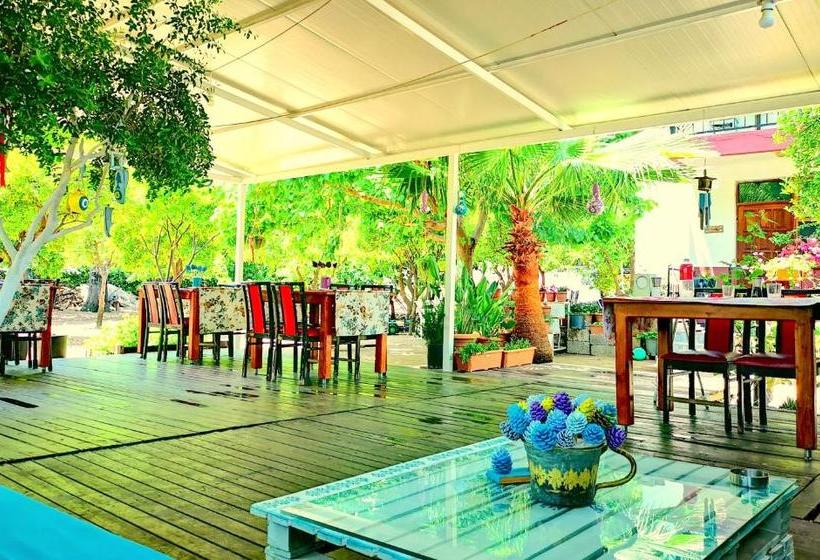 پانسیون Cemils Guest House