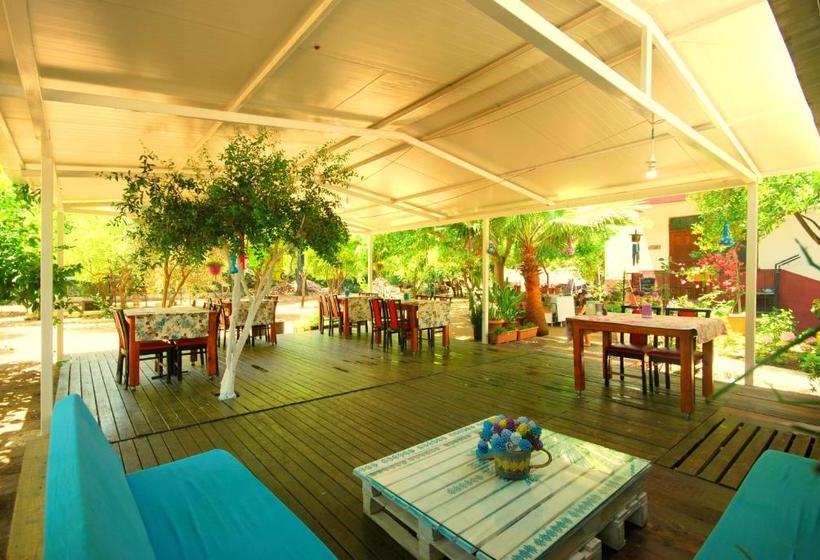 پانسیون Cemils Guest House