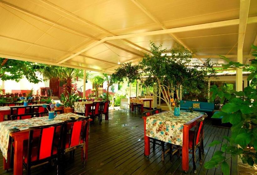 پانسیون Cemils Guest House