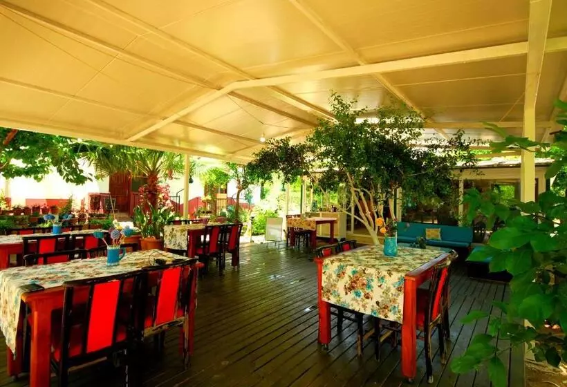 Majatalo Cemils Guest House