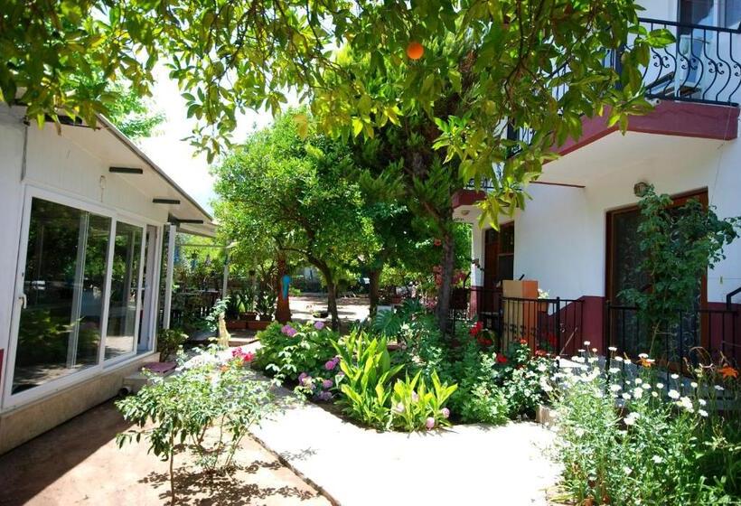 پانسیون Cemils Guest House