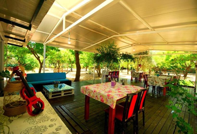 پانسیون Cemils Guest House