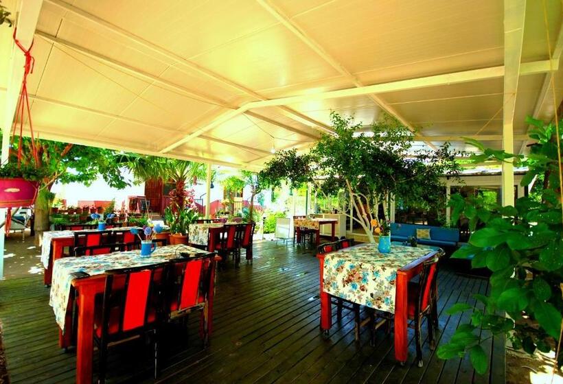 پانسیون Cemils Guest House