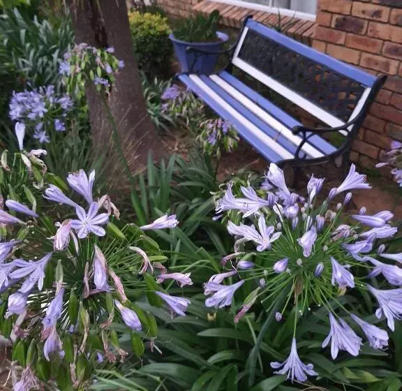 Majatalo Gemsbok Cottage