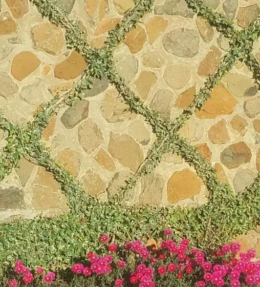 Majatalo Gemsbok Cottage