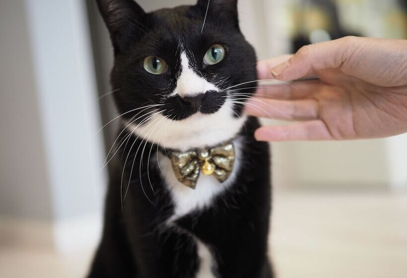 Pansiyon Guesthouse Ori Ori