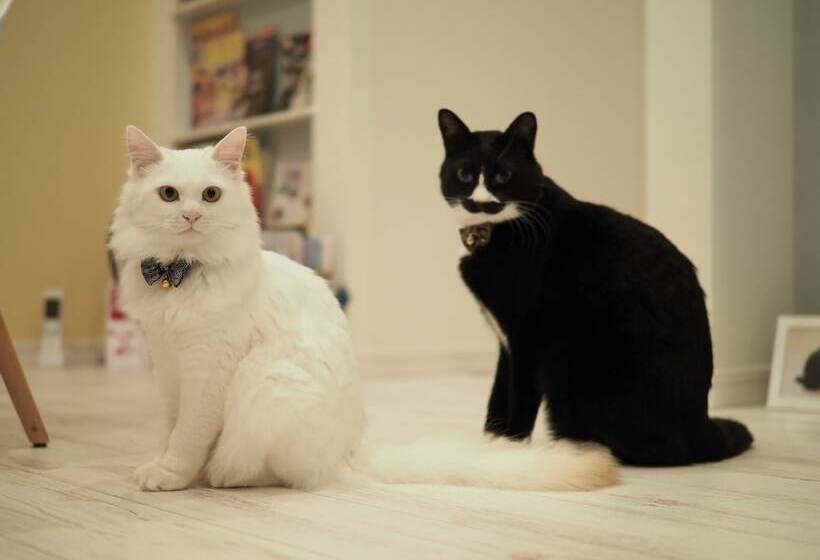 Pansiyon Guesthouse Ori Ori