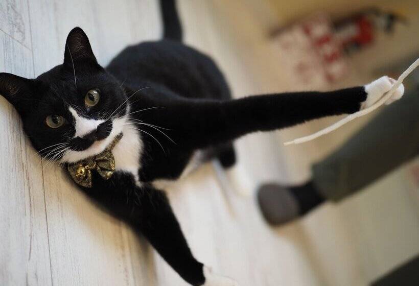 Pansiyon Guesthouse Ori Ori