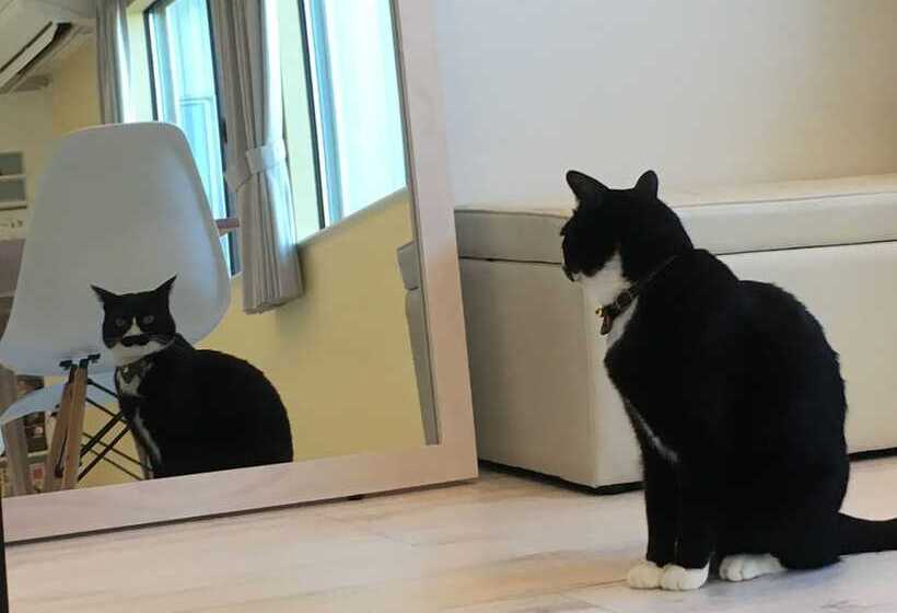 Pansiyon Guesthouse Ori Ori