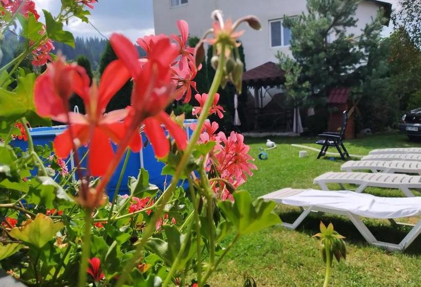 Пансион Ukrainochka