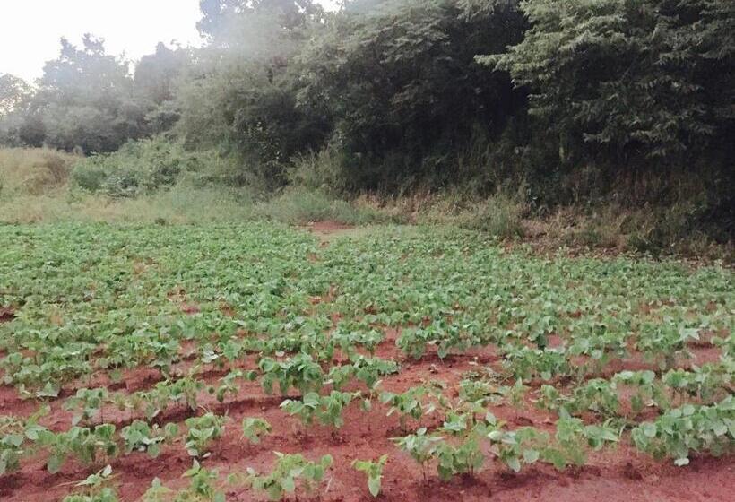 Hotelli West Valley Farm Villa