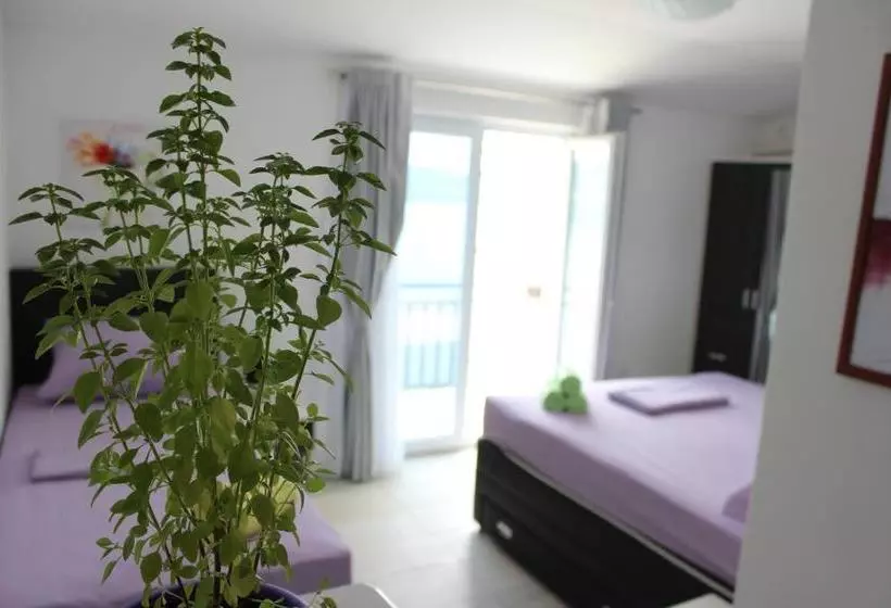 پانسیون Guest House Put