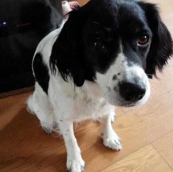 Pensão Kakunodate Guesthouse Fuga