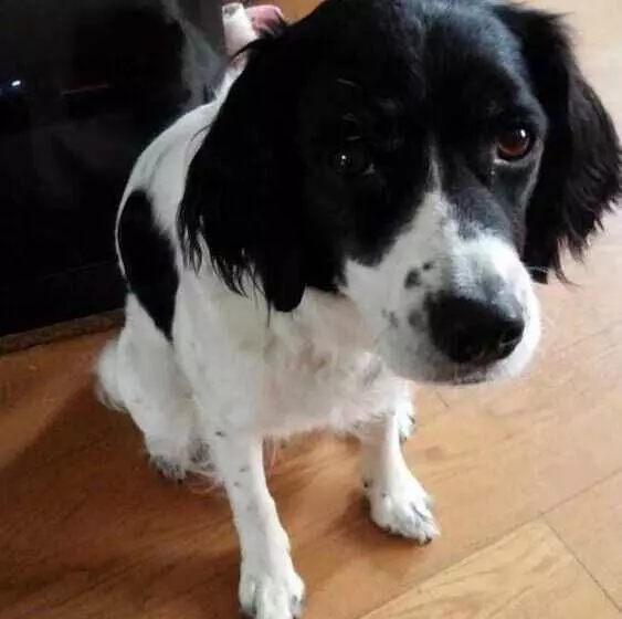 Majatalo Kakunodate Guesthouse Fuga