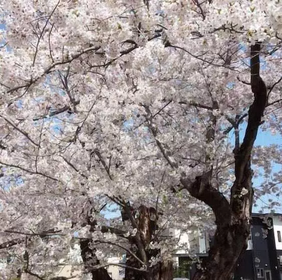 Majatalo Kakunodate Guesthouse Fuga