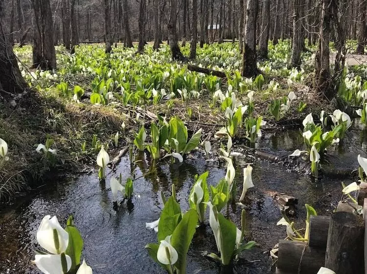 Majatalo Kakunodate Guesthouse Fuga