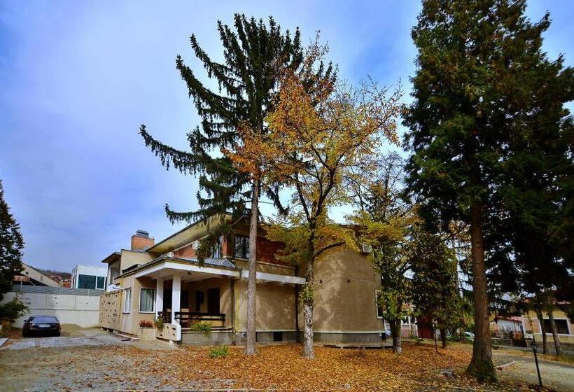 پانسیون Casa Negustorului