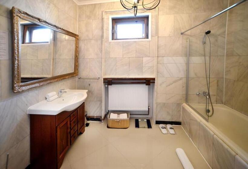 پانسیون Casa Negustorului