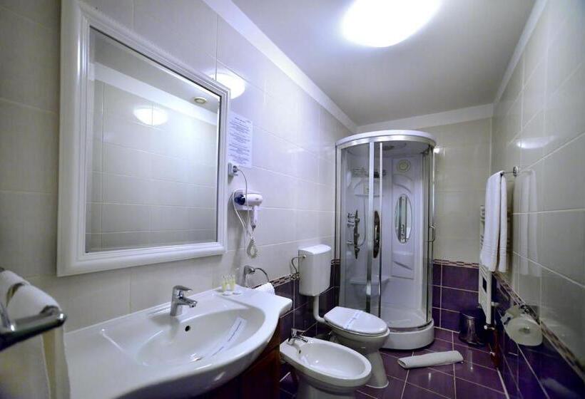 پانسیون Casa Negustorului