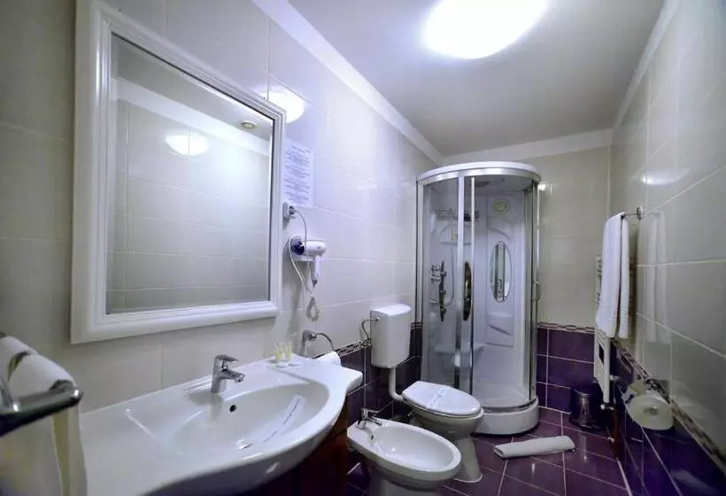 ペンション Casa Negustorului