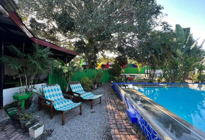 旅馆 Ice Bear Bar & Tourist Inn