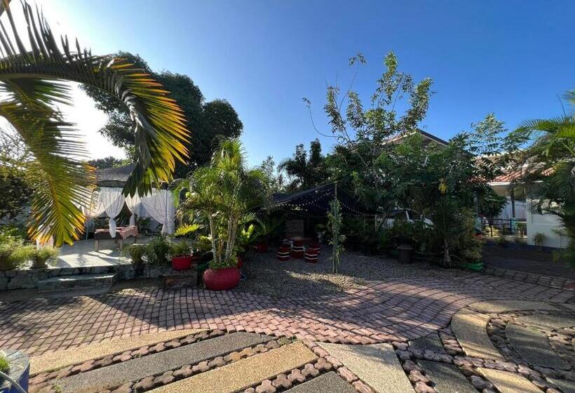 旅馆 Ice Bear Bar & Tourist Inn